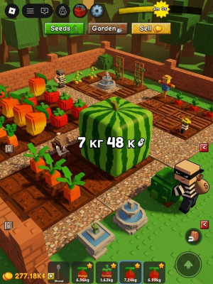 Mango 48k 7kg
