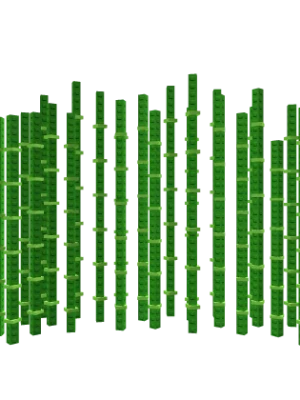 1000 bamboo seeds / 1000 семечек бамбука
