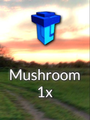🍄Mushroom🍄 за 1 штуку