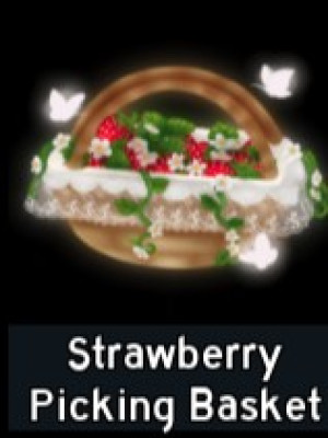 Strawberry Picking Basket