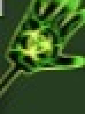 RADIOCTIVE SLAP'
