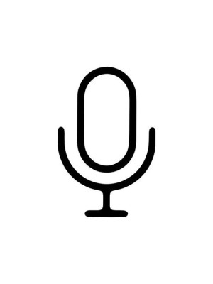 Voice chat / войс чат