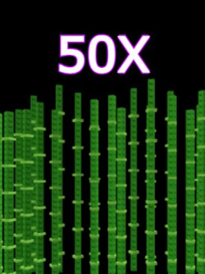 Bamboo Seed 50x