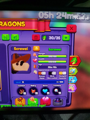 Dragon adventure Scrawei 1st gen