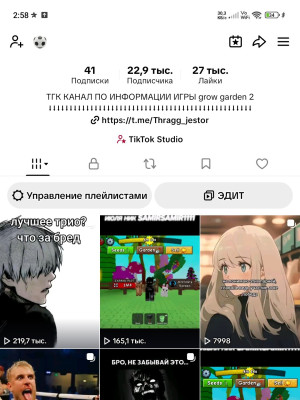Продаётся Тик ток аккаунт под стримы.