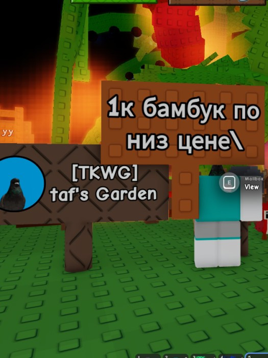 1к бамбука дешево