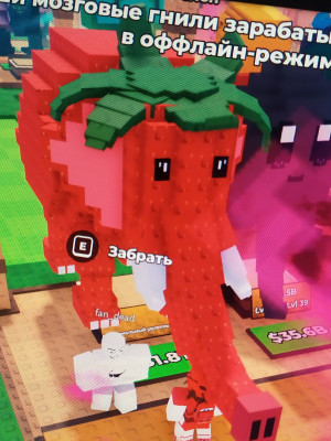 Strawberry elephant 6.2t