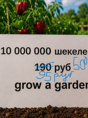 10 000 000 шекелей