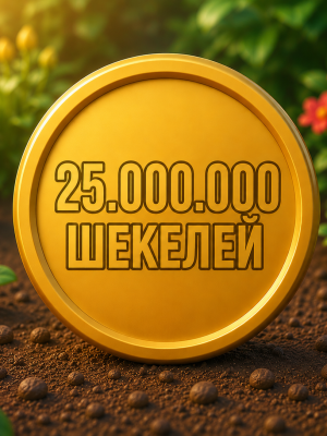 25 Миллионов 25 КК шекелей /// выгодная цена /// 😀
