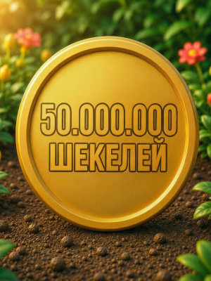 50 Миллионов 50 КК шекелей /// выгодная цена /// 😀