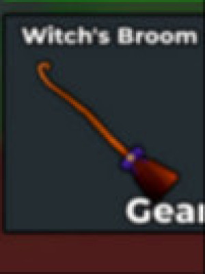 WITCH'S BROOM STEAL A BRAINROT