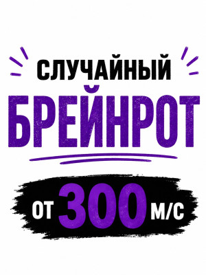 Случайный брейнрот от 300 м/с