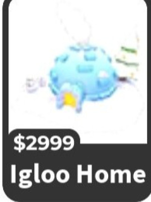 Igloo home