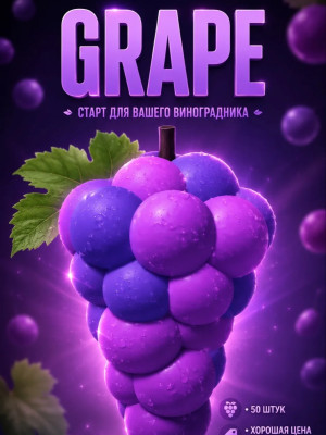 GRAPE (1 шт)