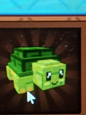 Turtle
