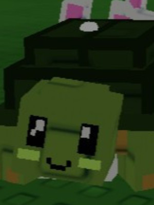 Turtle черепаха,новый редкий питомец