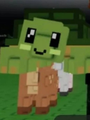 Turtle