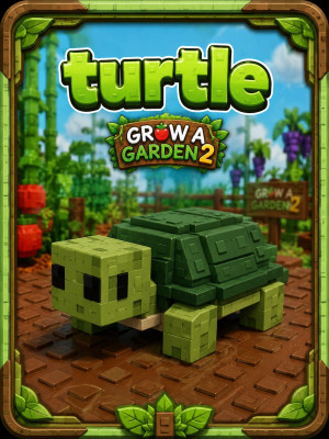🐢turtle / черепаха 🐢