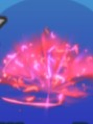 Gift Wrap Burst