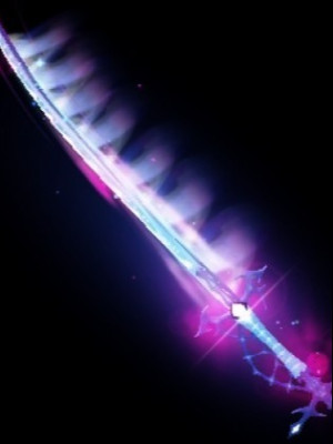 Bloom Katana