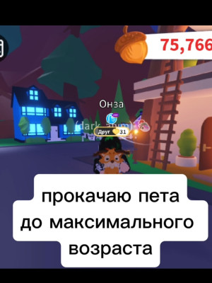 Прокачиваю пета до максимального возраста