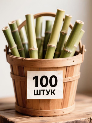 100 семян бамбука