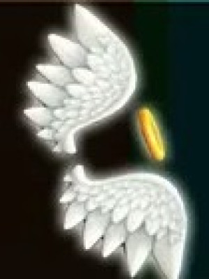 cupid wings | летающий предмет