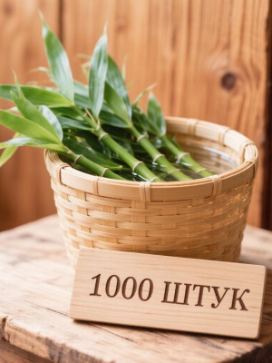 1000 семян бамбука