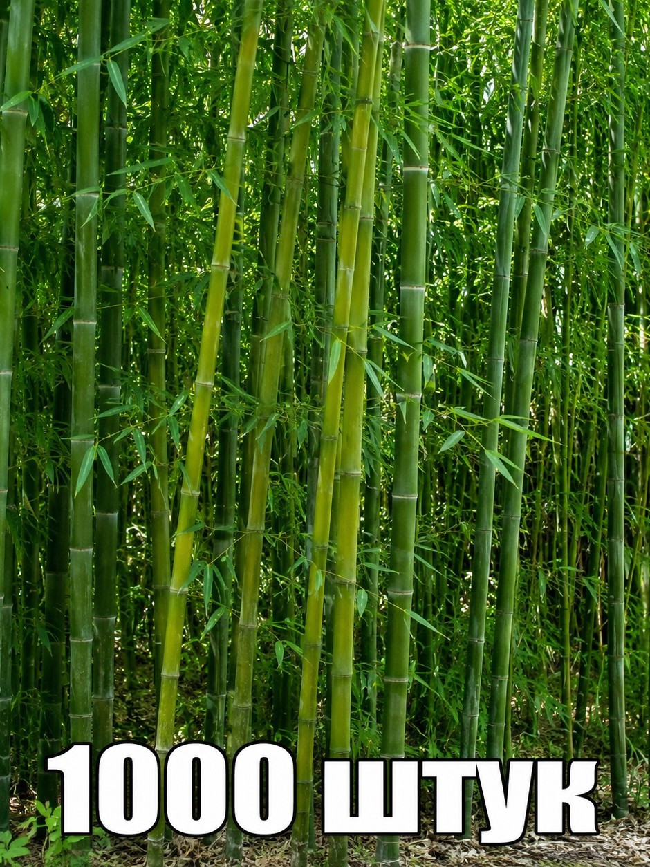 1000штук бамбука