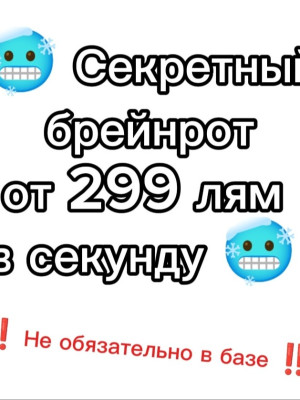 Секретный брейрот от 299 лям