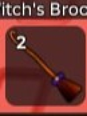 WITCH'S BROOM STEAL A BRAINROT