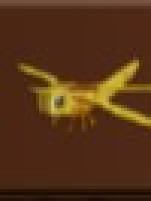 Golden Dragonfly