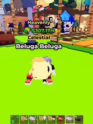hevently beluga beluga low price