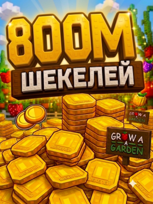 800м шекелей