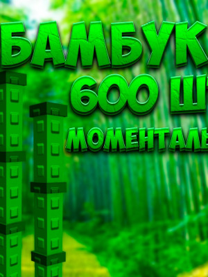 БАМБУК 600 ШТУК