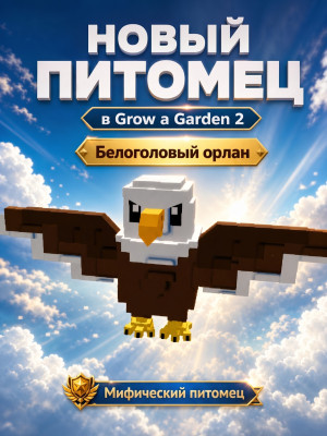 review_img