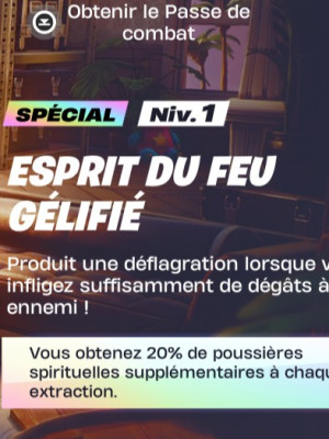 Gelled spirit