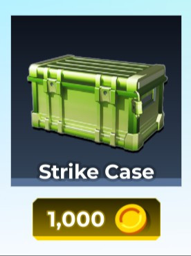 Strike Case