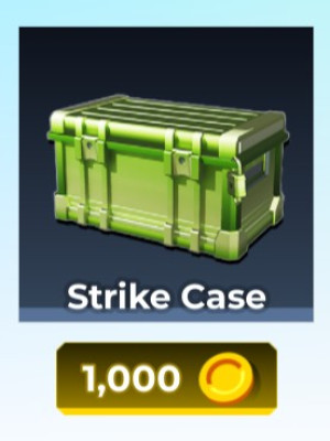 Strike Case