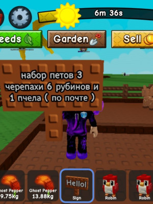 Набор петов