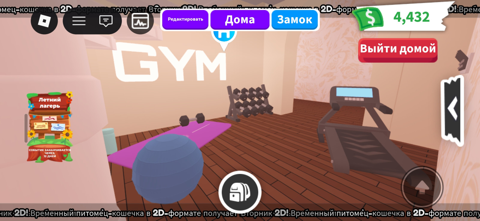 Дом с мебелью