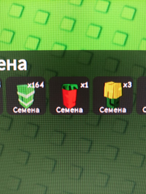100 бамбука