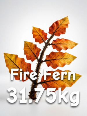 Fire Fern