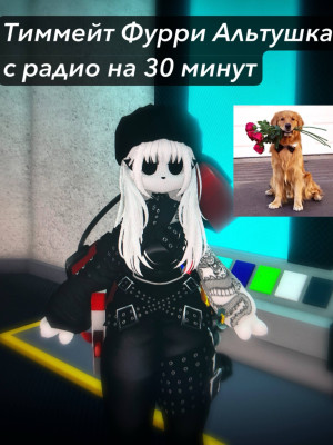 Тиммейт фурри альтушка с радио на 30 минут