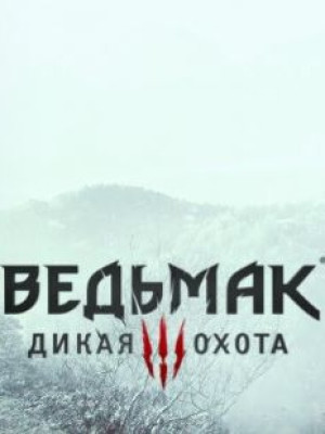 Продам оффлайн ак Ведьмак 3 дикая охота