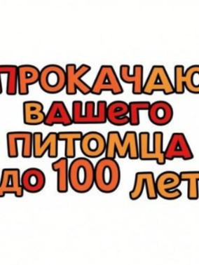 Прокачка вашего питомца до 100 лет!
