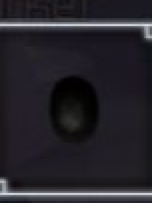 Perception Blocking Mask