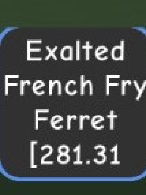 Exalted French fry 281KG 500YEARs