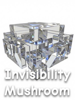 x10 Invisibility Mushroom for 5RUB\х10 ГРИБЫ НЕВИДИМОСТИ ПО 5Р