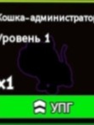Админ кет